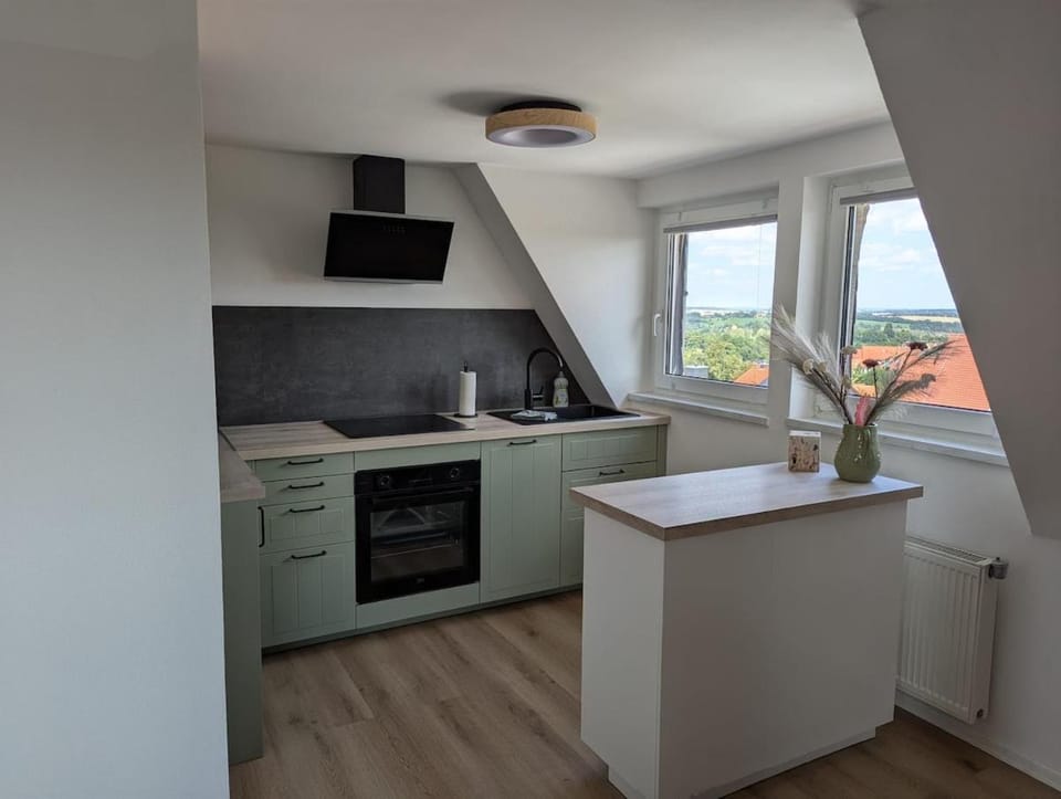 Kitchen or kitchenette, dishwasher, pet friendly, stove