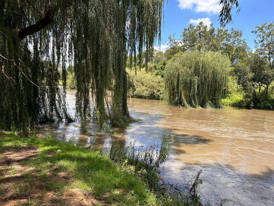 Fishing, River view