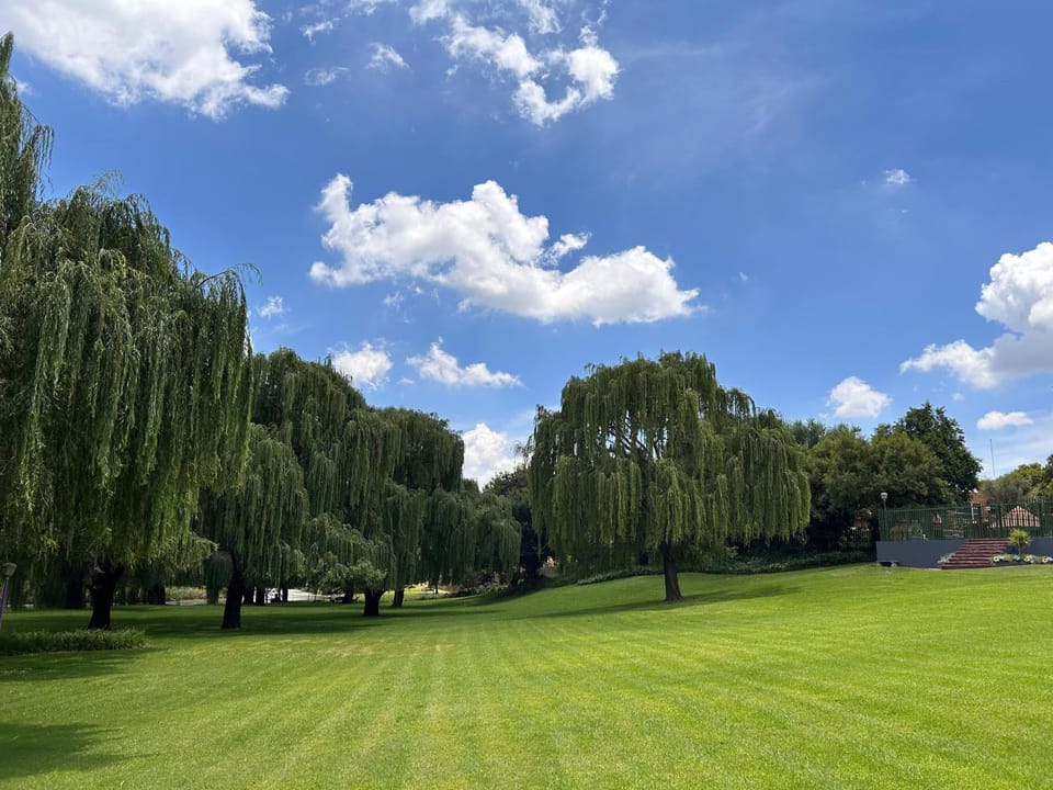 Natural landscape, Garden, Garden view