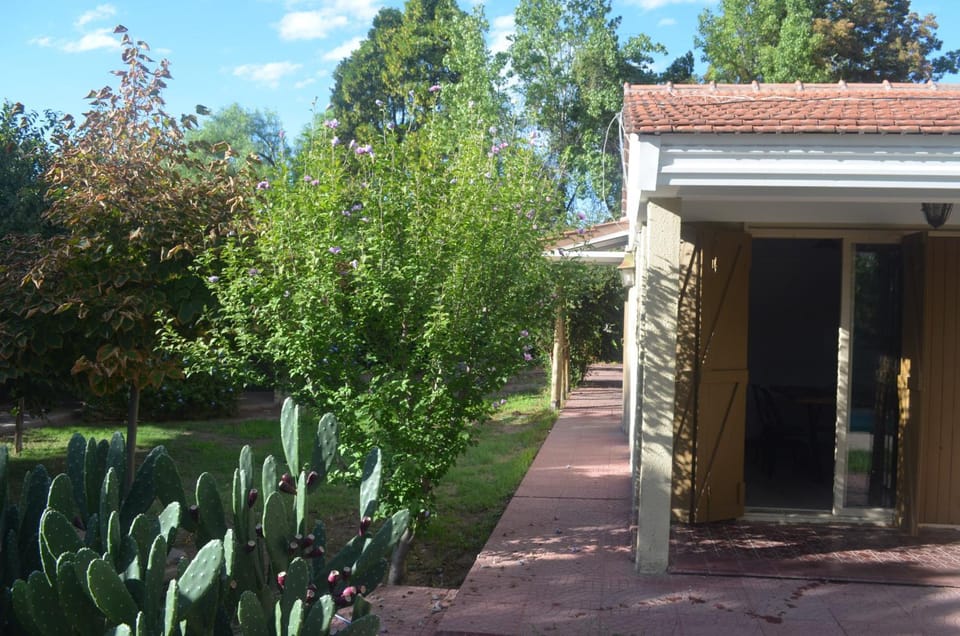 Property building, Garden, Garden, Garden view