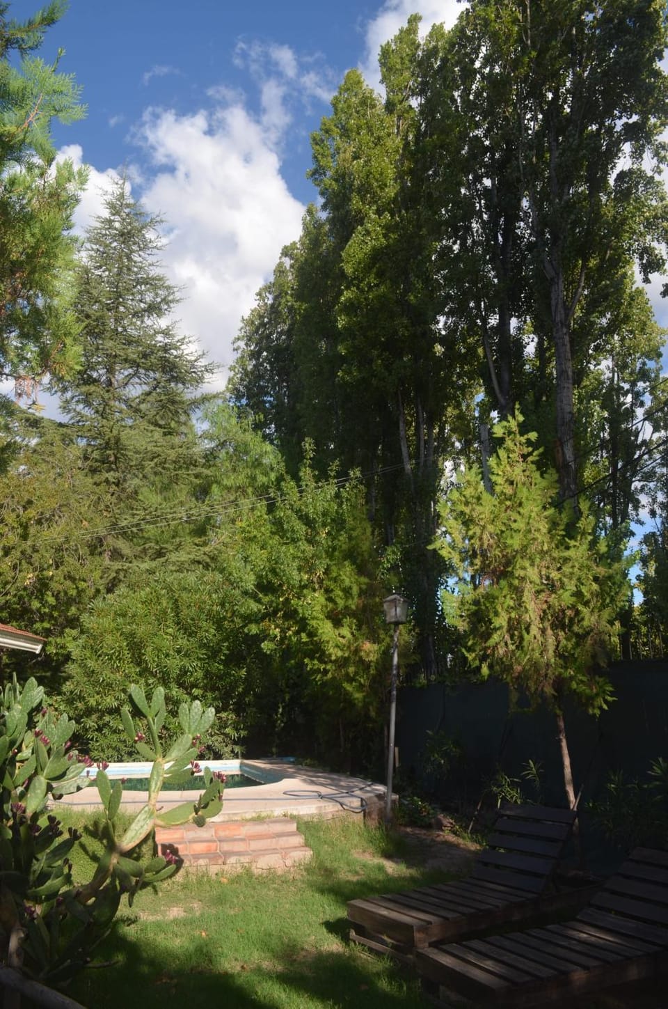 Natural landscape, Garden, Garden, Garden view