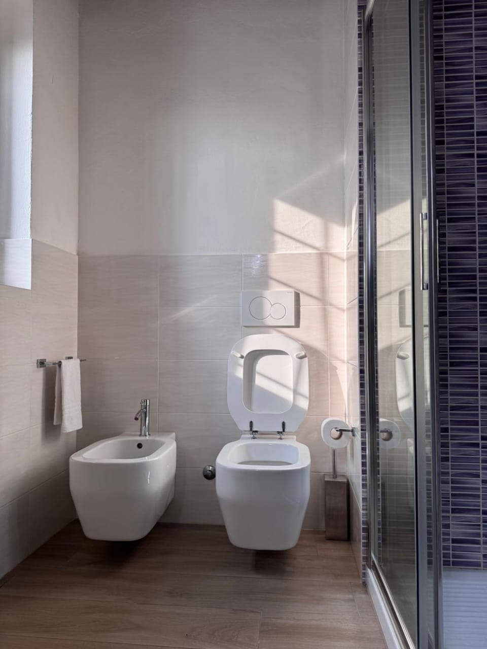 Shower, Toilet, Bathroom, bidet