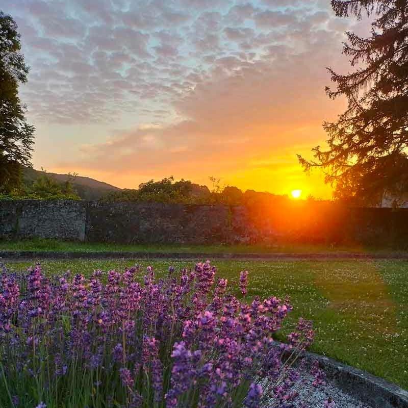 Garden, Garden, Garden view, Sunrise