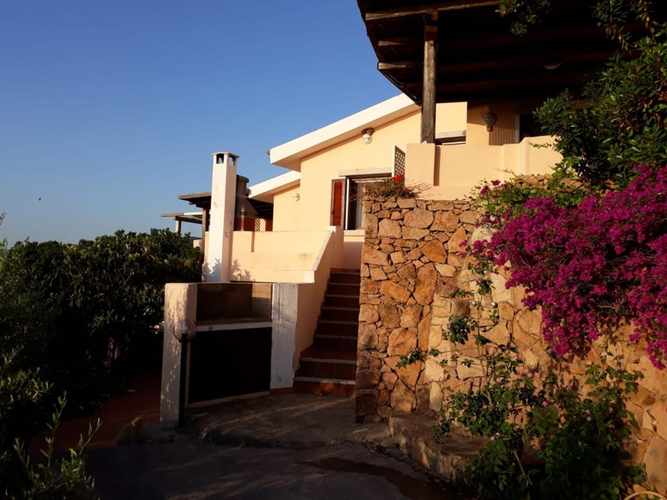 Property building, Garden view