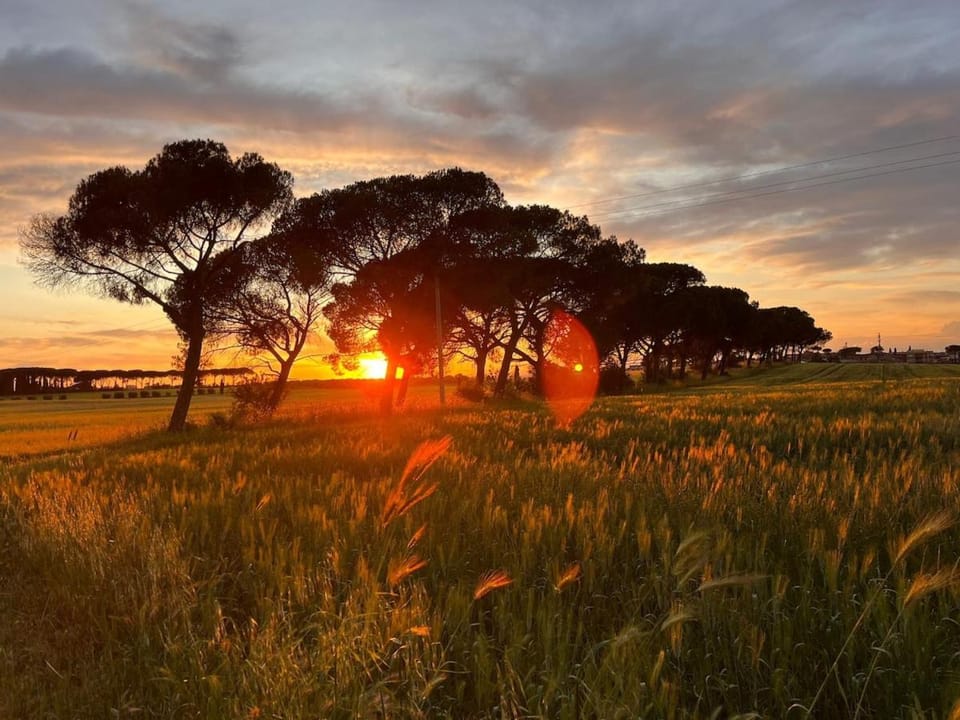Natural landscape
