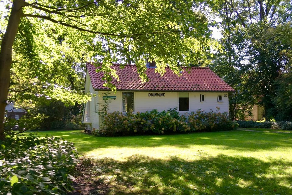 Natural landscape, Garden, Garden