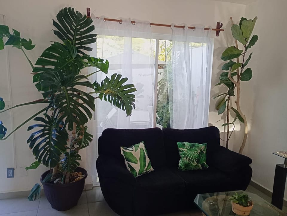 Natural landscape, Living room, Seating area