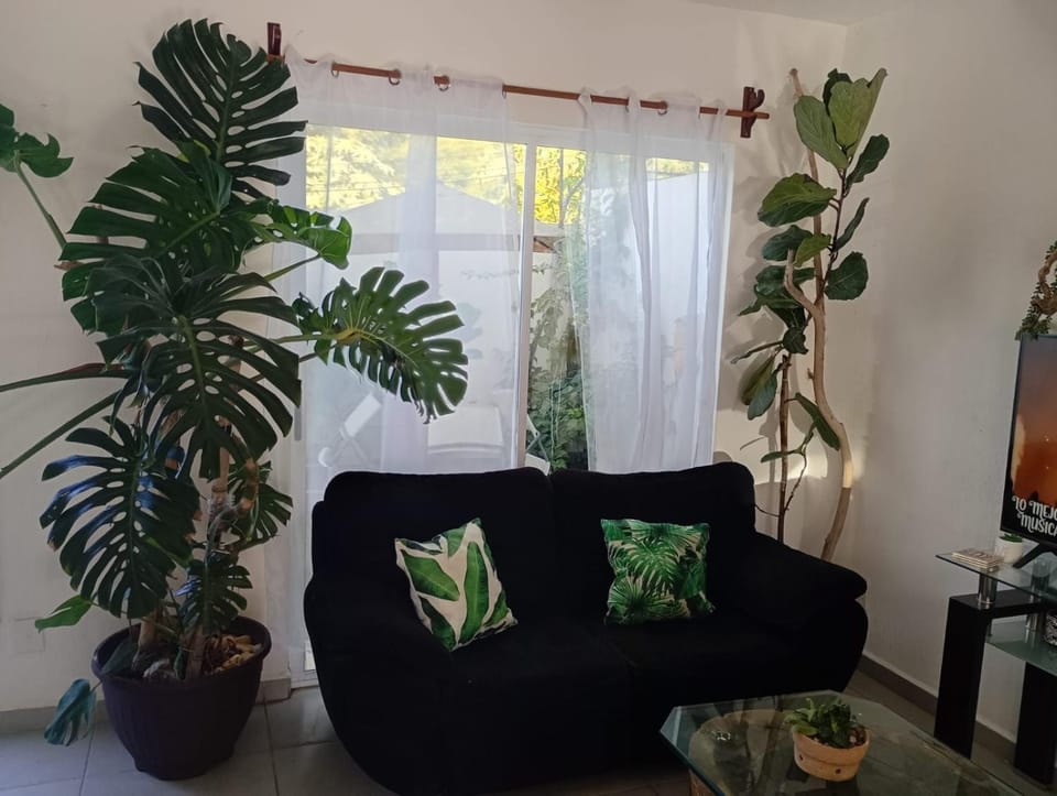 Natural landscape, Living room, Seating area, Garden view