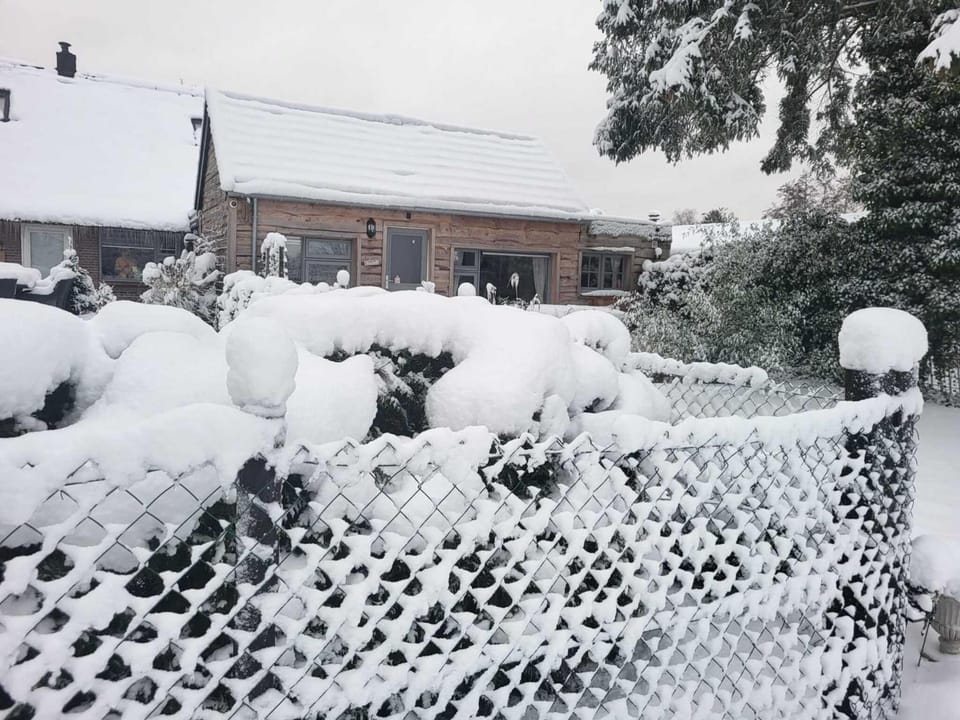 Property building, Winter