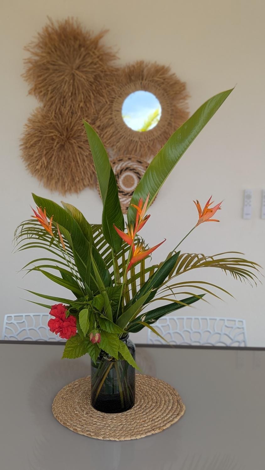 Tropical Haven 2 pieces contemporain avec piscine Apartment in Les Trois-Îlets