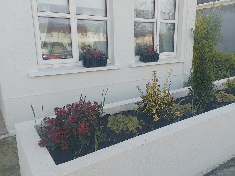 Shauna's Guest house Bed and Breakfast in Waterford City