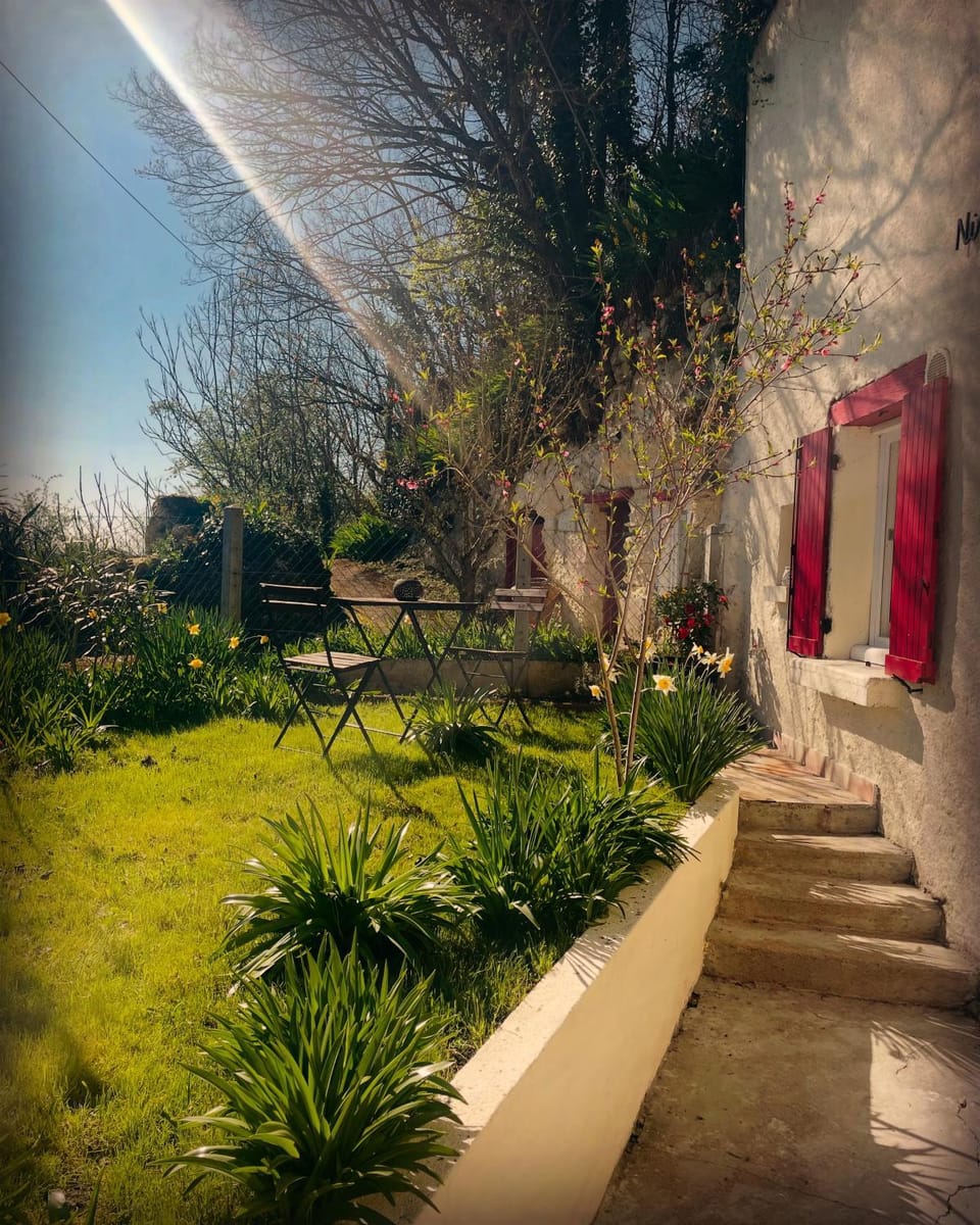 Spring, Garden, Garden view