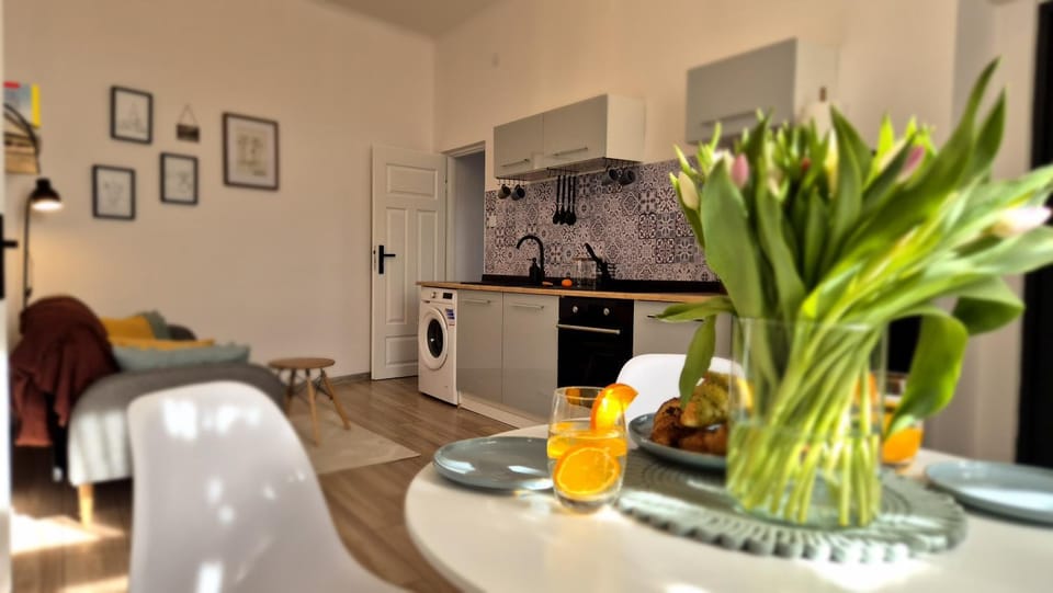Kitchen or kitchenette, Seating area, Dining area, stove, washing machine