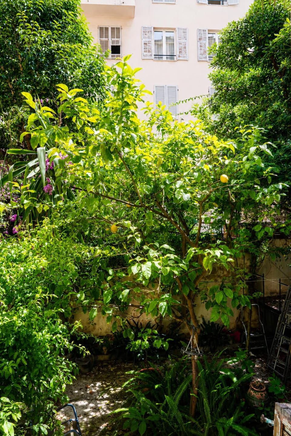 Garden view