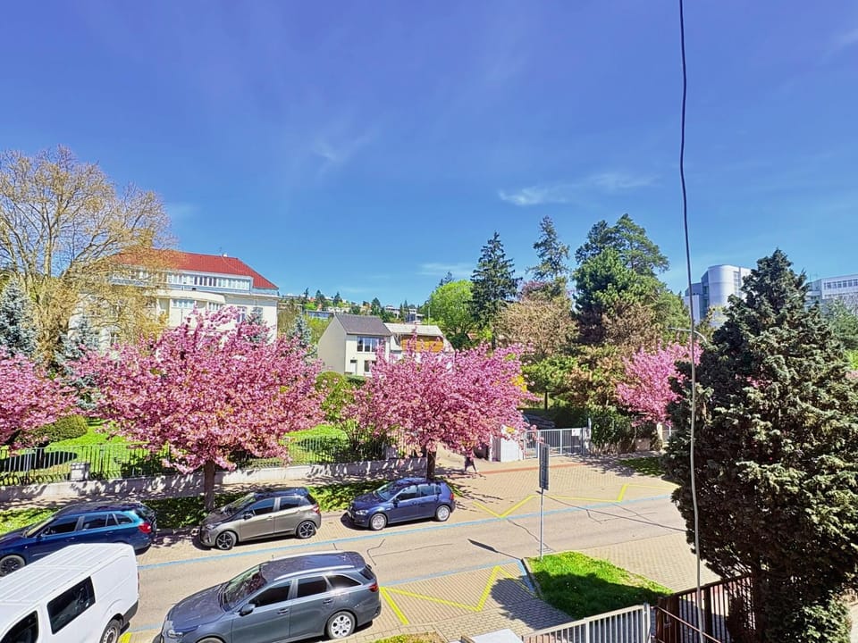 Facade/entrance, Spring, Off site, Day, Neighbourhood, Natural landscape, View (from property/room), Street view, Location, Quiet street view, Parking