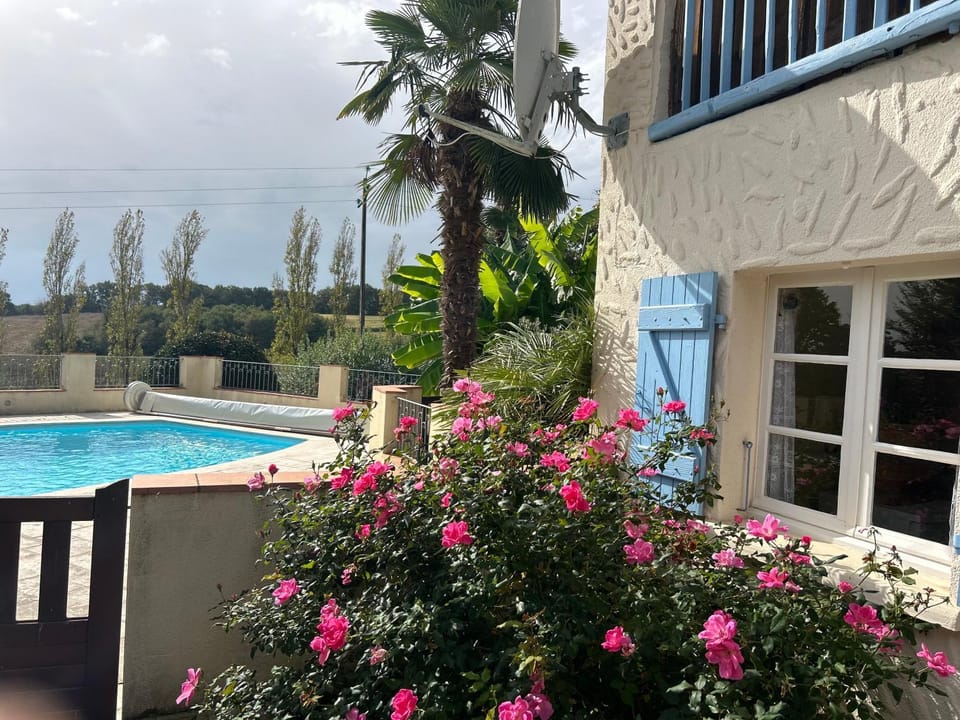 Garden, Swimming pool