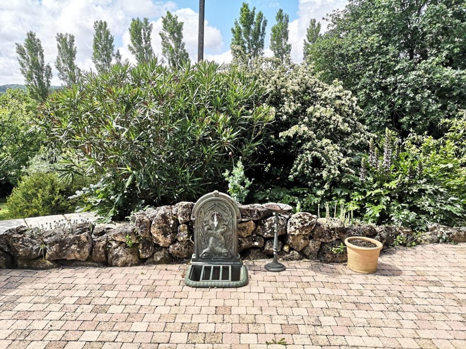 Garden, Garden, Garden view