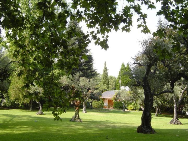 Natural landscape, Garden