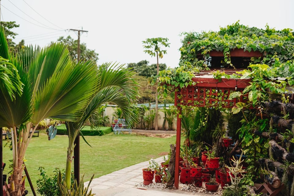 Day, Natural landscape, Garden, Garden view