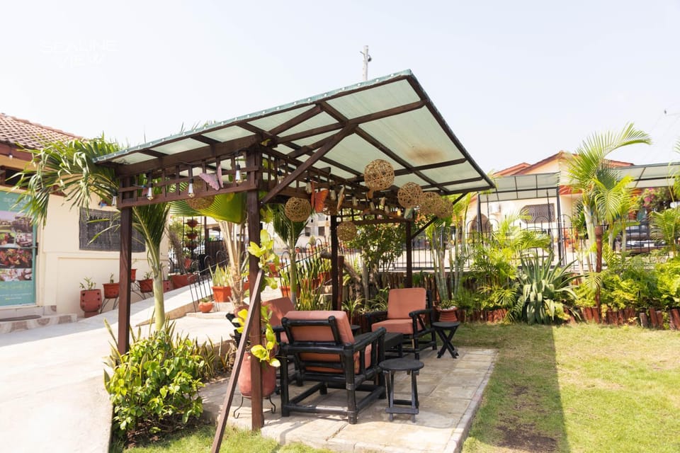 Day, Garden, Garden view