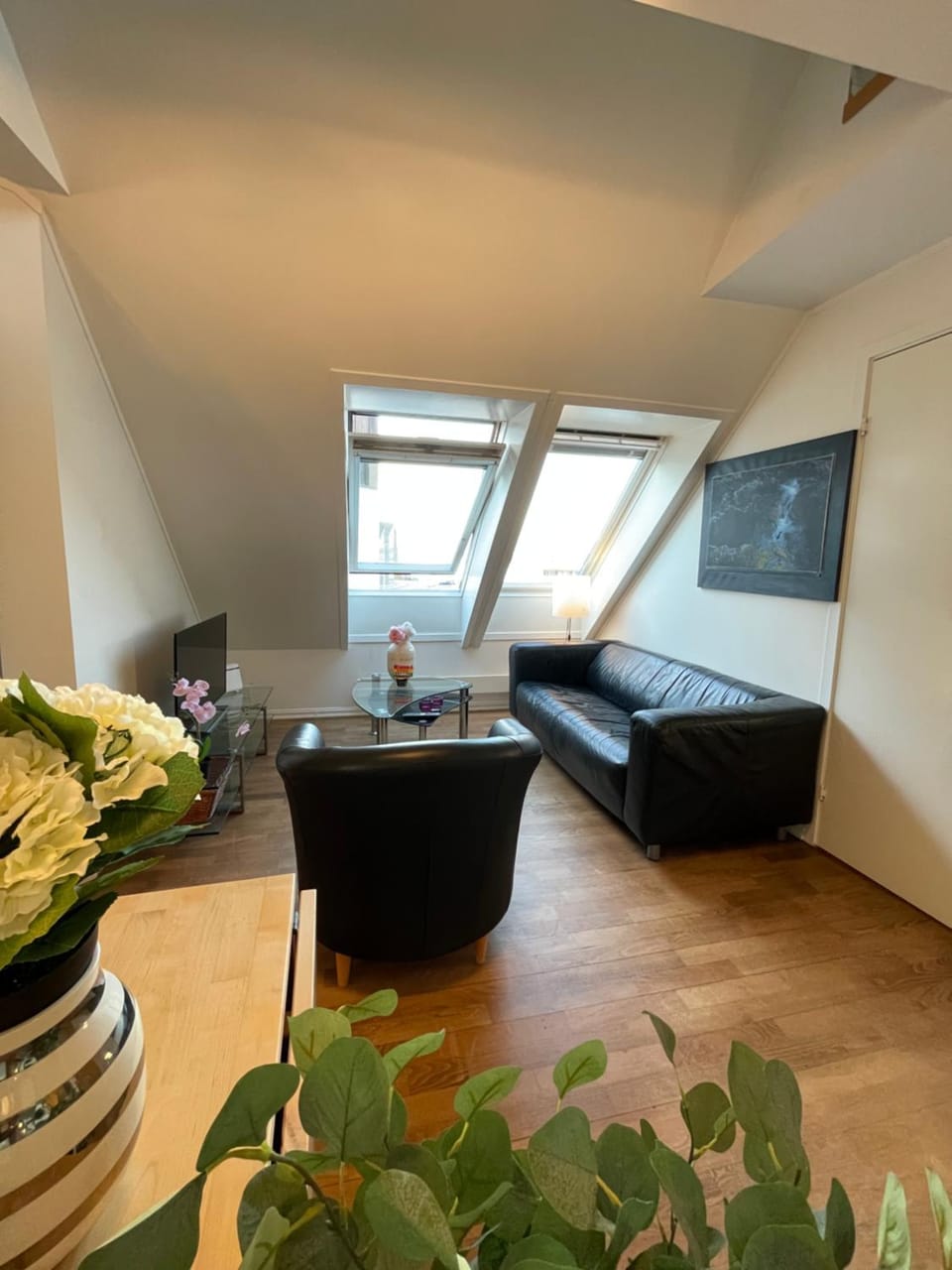 TV and multimedia, Living room, Dining area