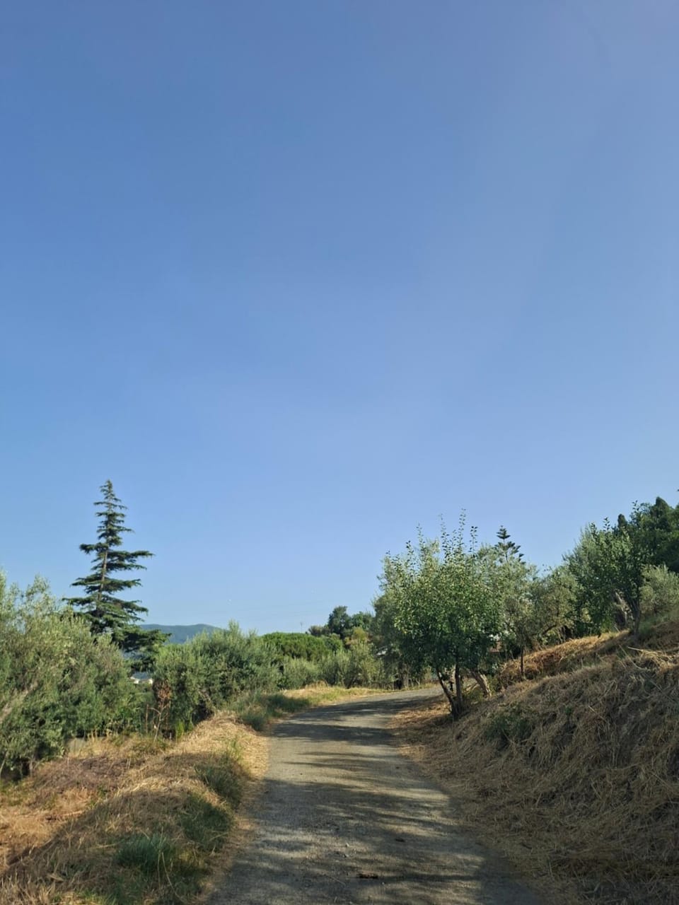 Beautiful views of the Aeolian Islands and the Cape of Milazzo House in Barcellona Pozzo di Gotto