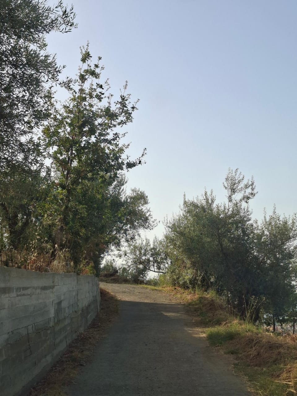 Beautiful views of the Aeolian Islands and the Cape of Milazzo House in Barcellona Pozzo di Gotto