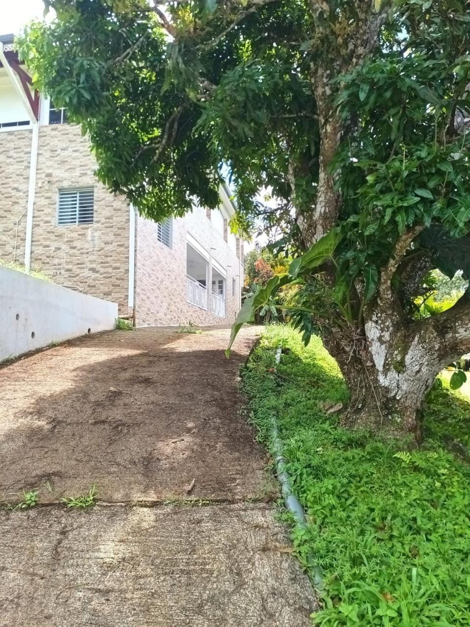 Natural landscape