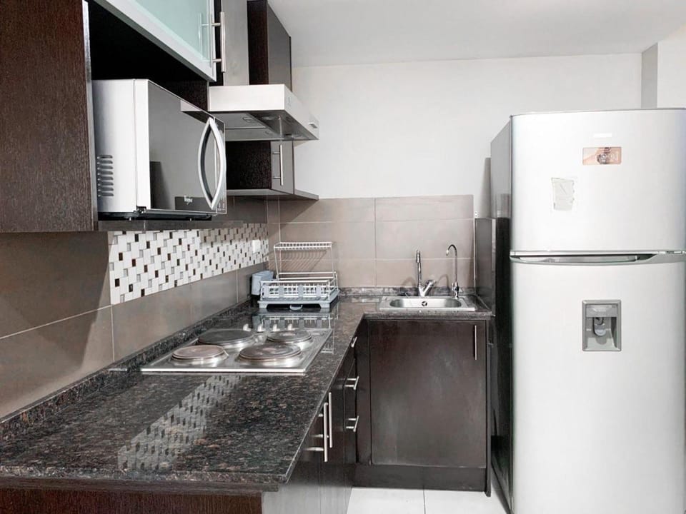 Kitchen or kitchenette, dishwasher, minibar, oven, stove
