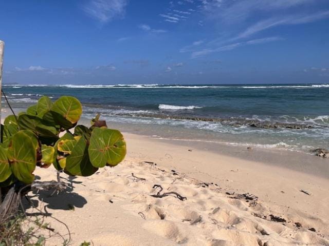 Natural landscape, Beach