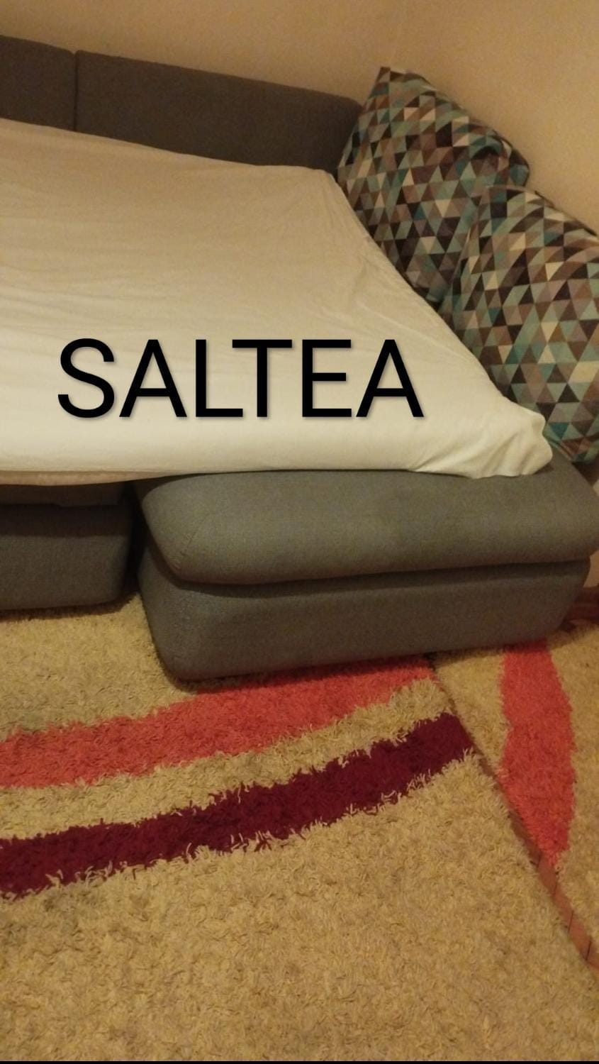 Alex Center Apartment Apartment in Timisoara