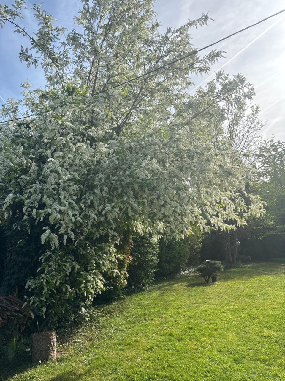 Les hauts de Chaumont Bed and Breakfast in Centre-Val de Loire