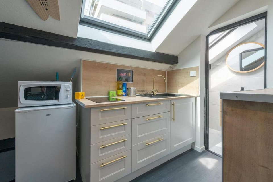 Studio G Quai de l Alma Mulhouse Apartment in Mulhouse