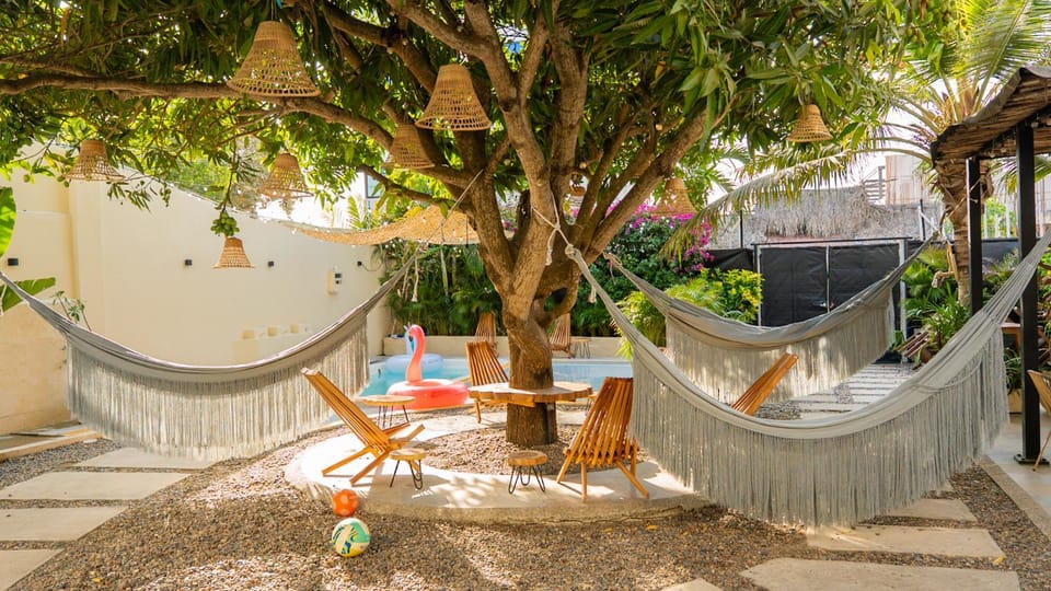 Patio, Spring, Day, Natural landscape, Garden, Garden view, sunbed