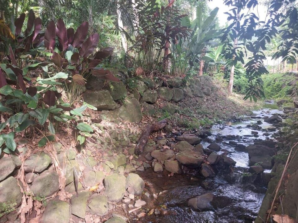 Fare PAO PAO bungalow tropical House in Moorea-Maiao