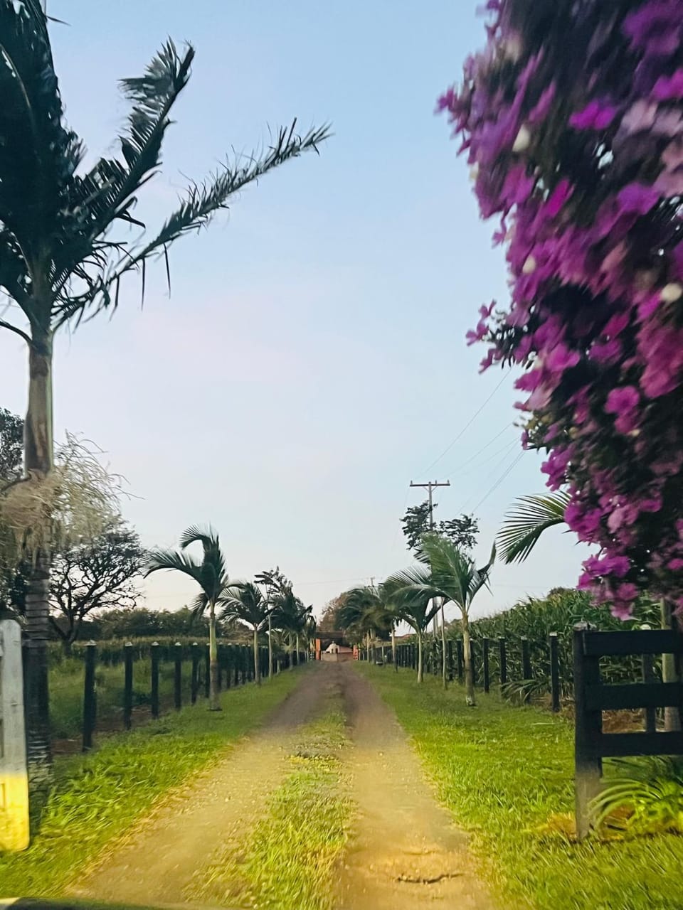 Bangalô Rancho Ouro Verde House in State of Paraná