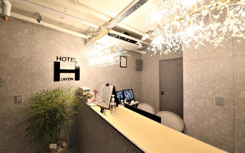 Seomyeon Haydn Hotel Hotel in Busan