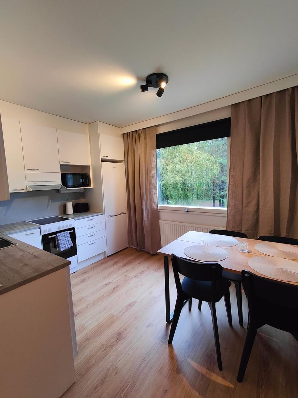 Kitchen or kitchenette, Dining area, oven, stove