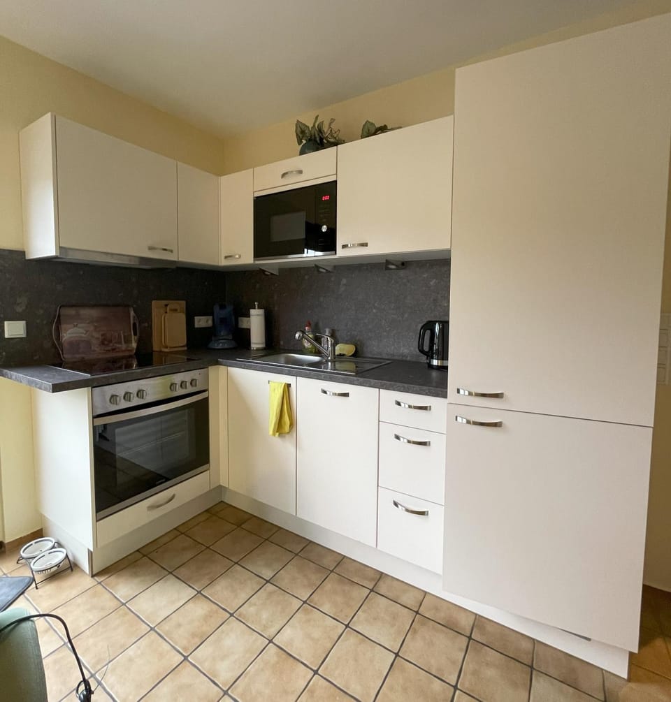Kitchen or kitchenette, dishwasher, oven, pet friendly, stove