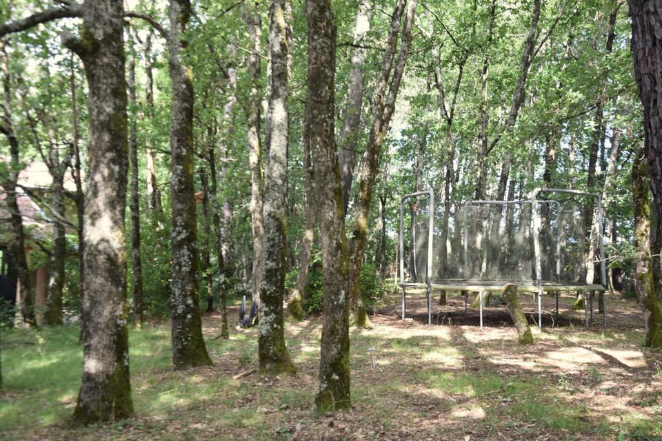 Natural landscape, Garden view
