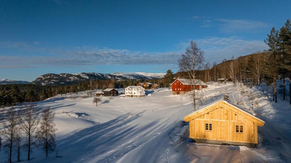 Property building, Winter