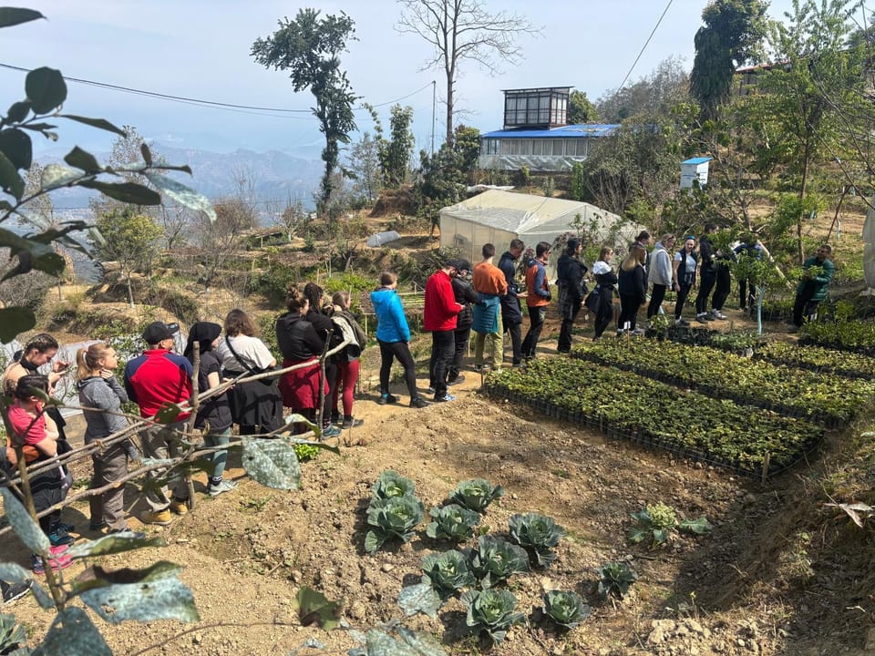 Garden, Garden view, group of guests