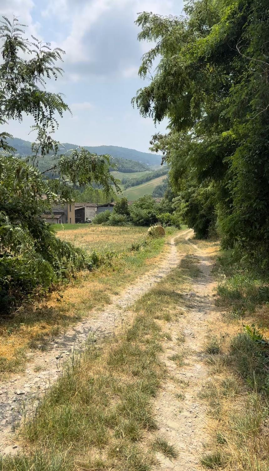 Natural landscape