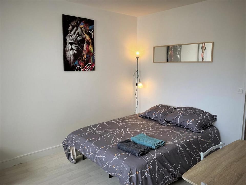 Appartement double à Limoges Apartment in Limoges
