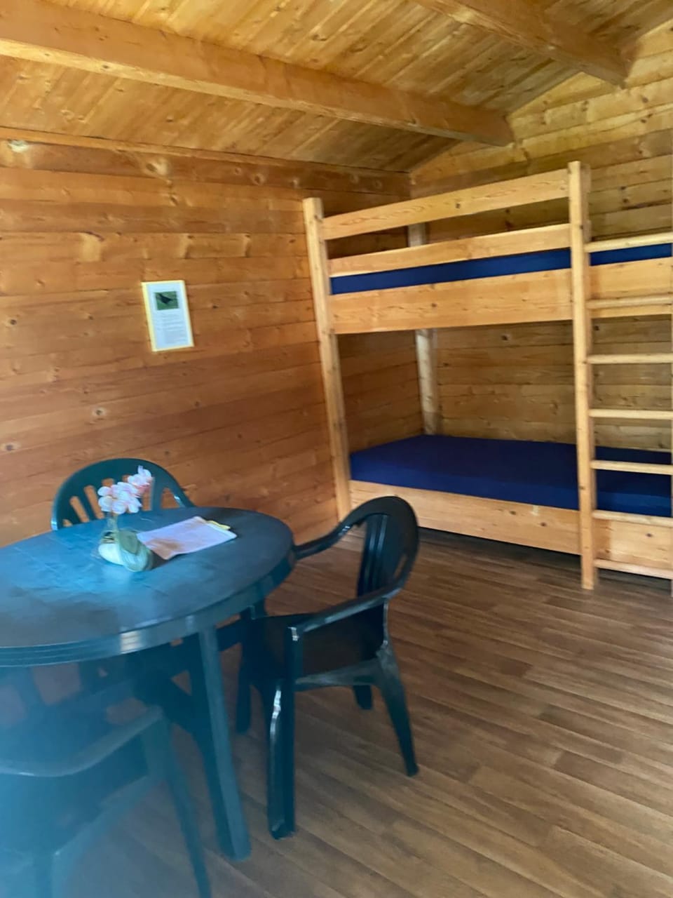 bunk bed