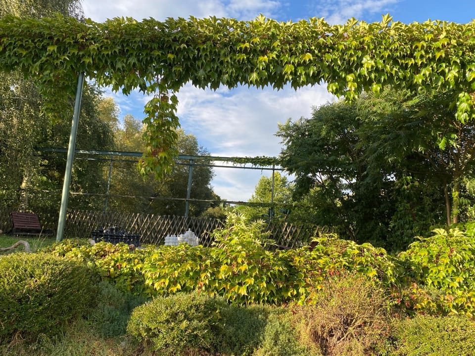 Natural landscape, Garden