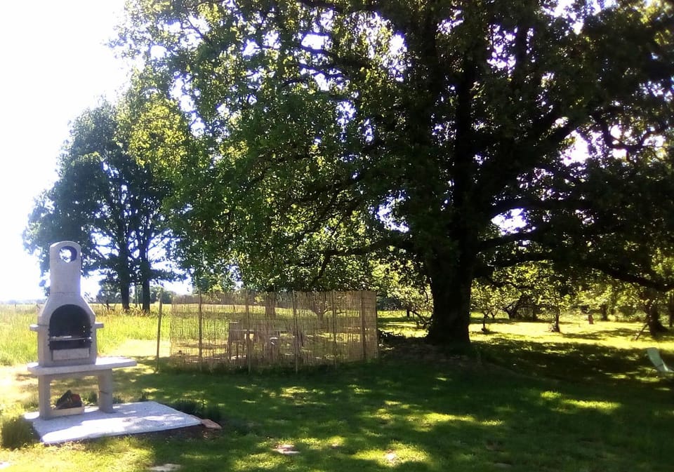 BBQ facilities