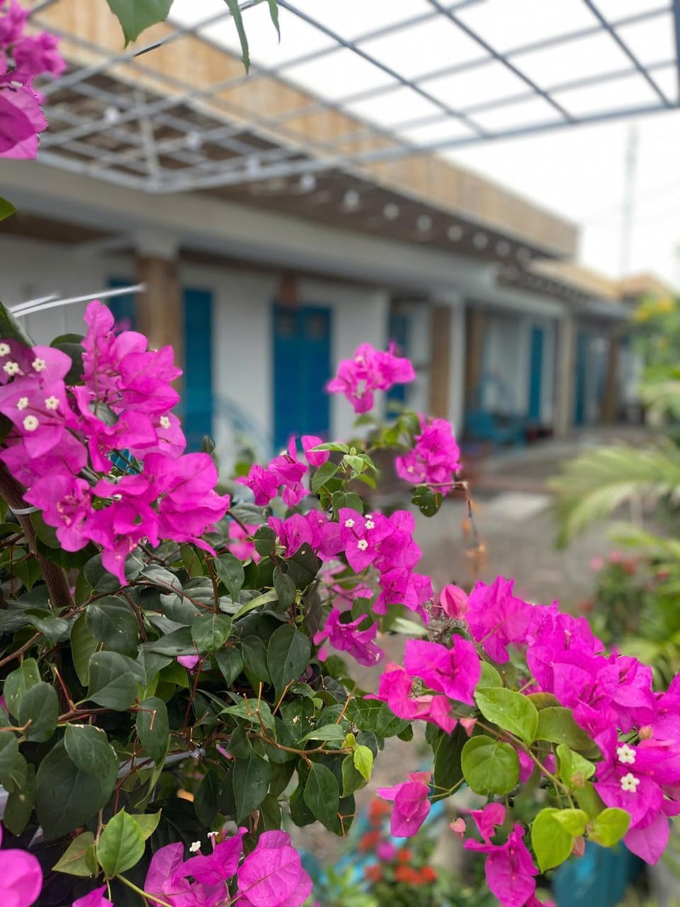 Garden, Garden view