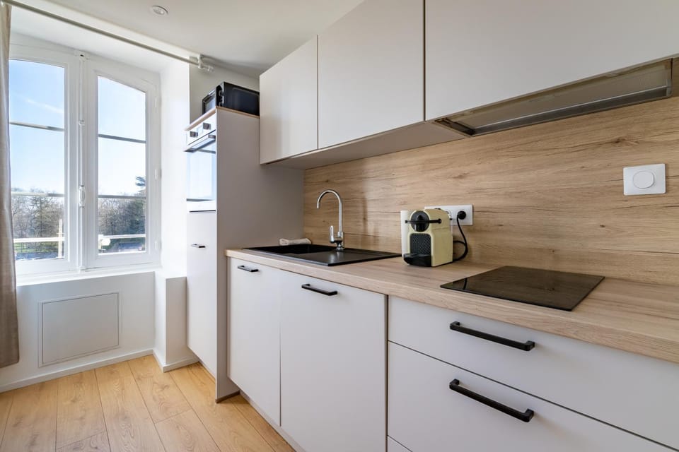 Sept îles - studio - centre-ville - TV Apartment in Vannes