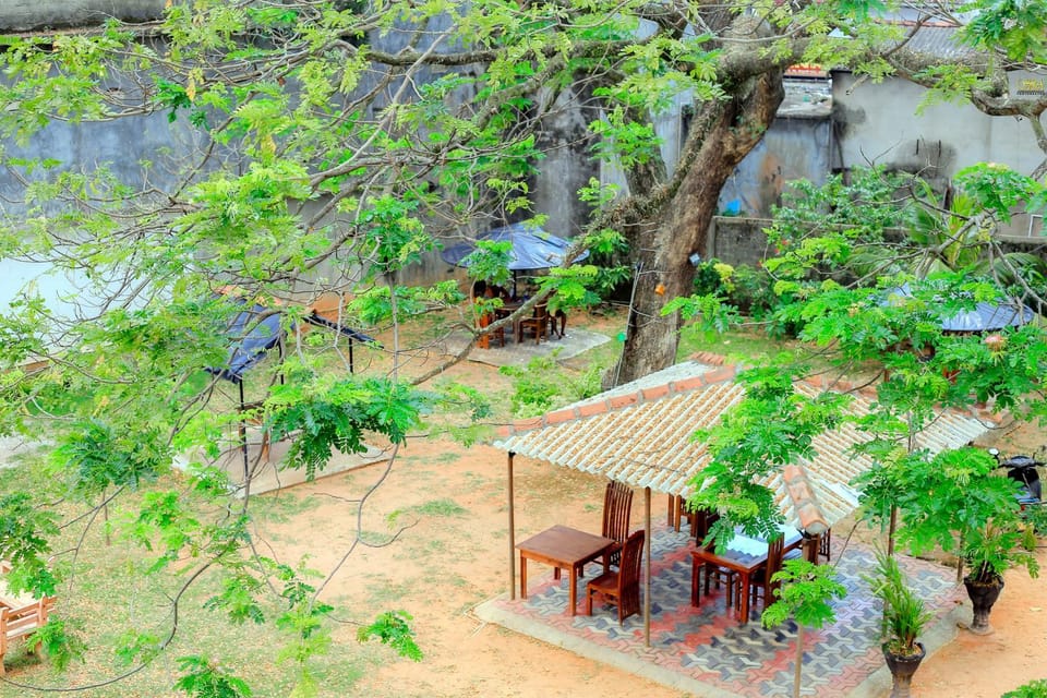 Garden view